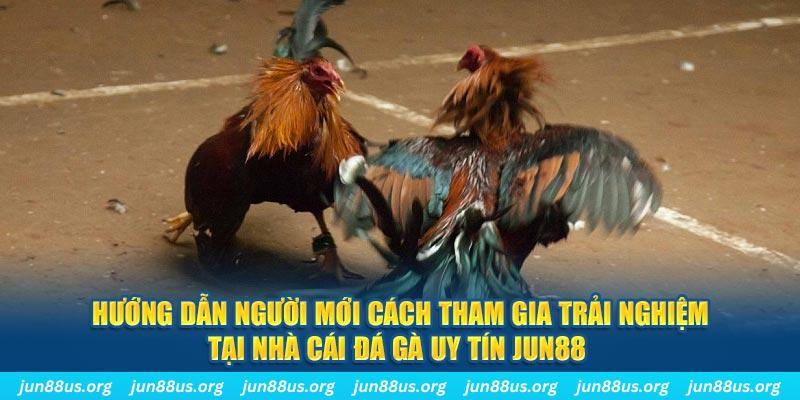 vtv1 CQ9 Điện Tử