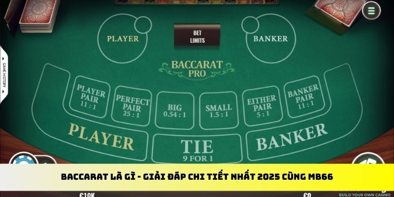 vtv1 gà chọi cu cần