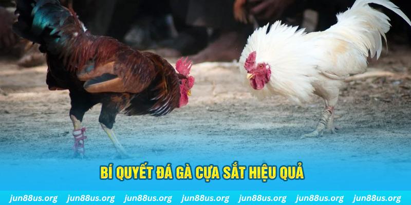 vtv1 xin 1 slot là gì
