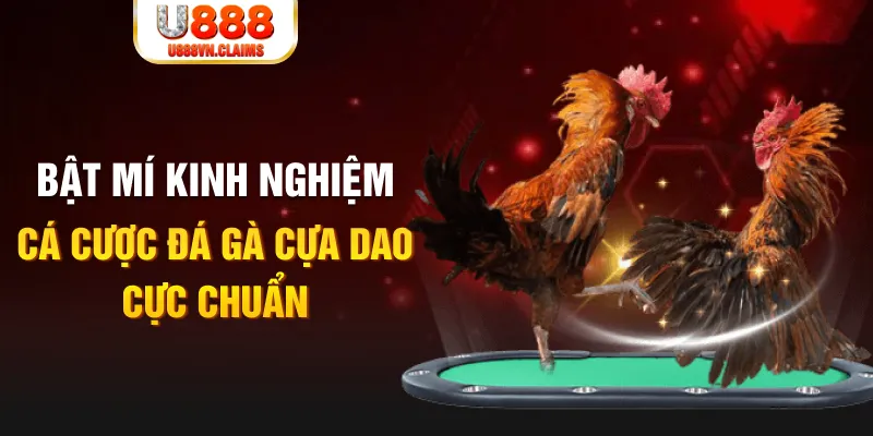 vtv1 tỷ lệ cá cược châu á là gì