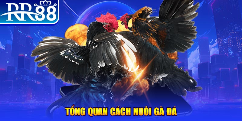 vtv1 VA Điện Tử