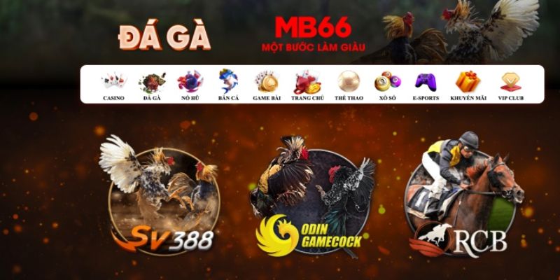 vtv1 đăng nhập poker số 1