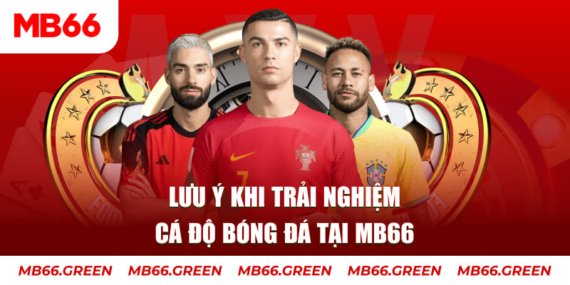 vtv1 cá cược là gì