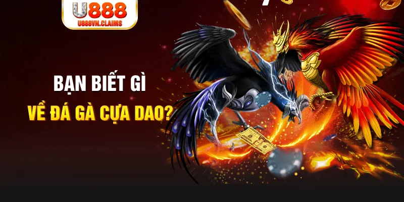 vtv1 nổ hủ là gì