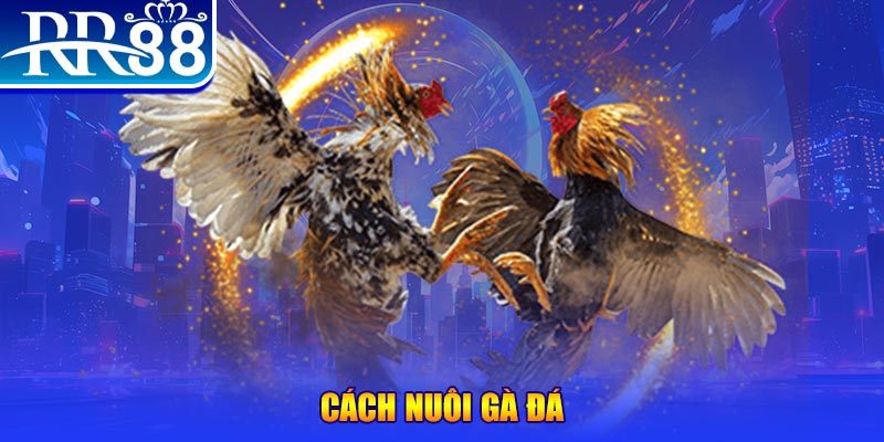 vtv1 xổ số an giang