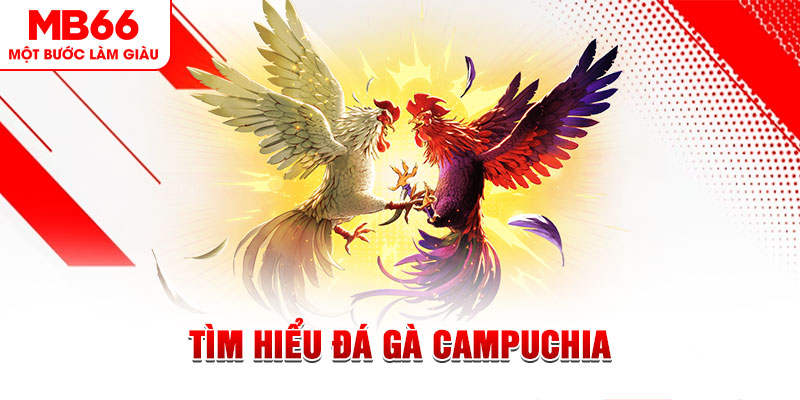 vtv1 game đánh bài trên máy tính