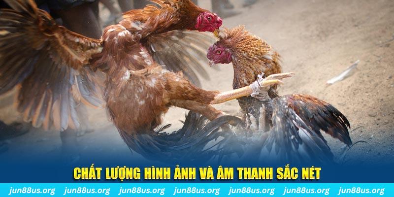 vtv1 đăng nhập roulette live