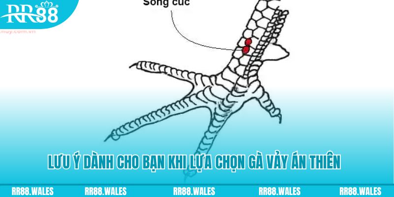 vtv1 xổ số đồng nai