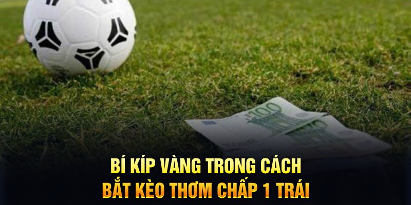 vtv1 sổ xô miên bắc