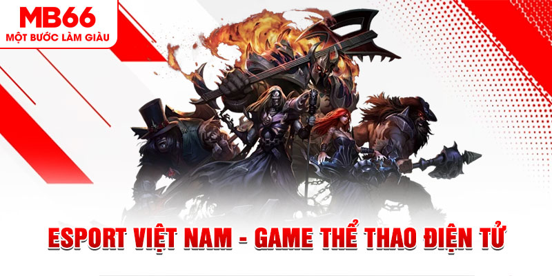 vtv1 what are the most popular casino games