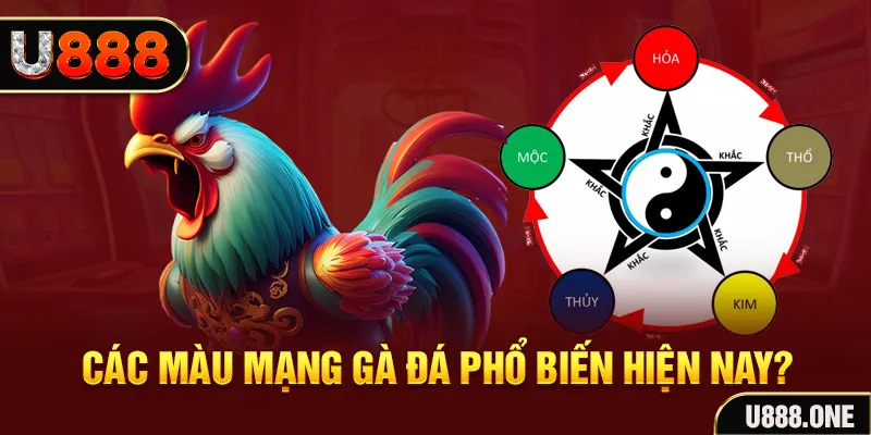 vtv1 trực tiếp đá gà 88