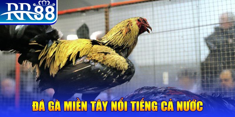 vtv1 JILI Game Bài 3d