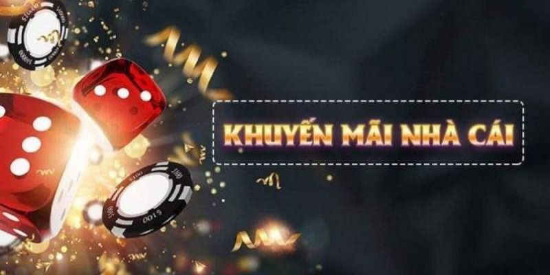 vtv1 what is live dealer casino