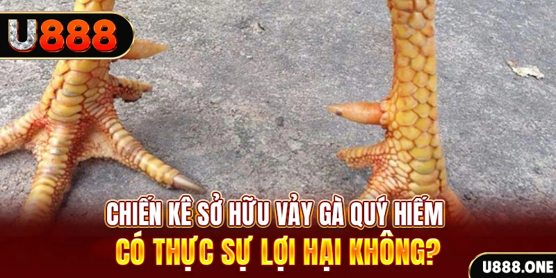 vtv1 nohu .mx nổ hủ là gì