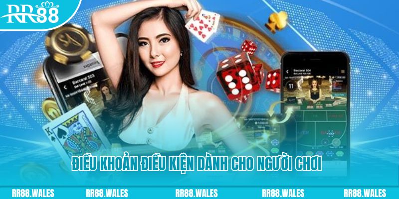 vtv1 casino gồm những gì