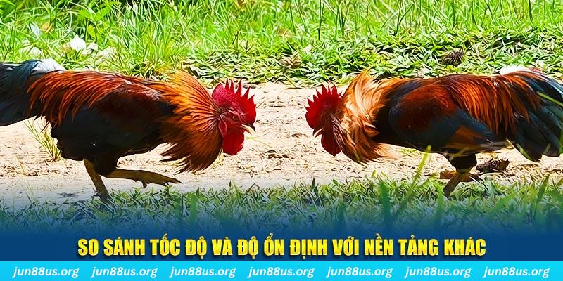 vtv1 đá gà hôm nay