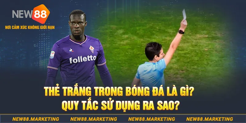 vtv1 gà chọi mộc hóa