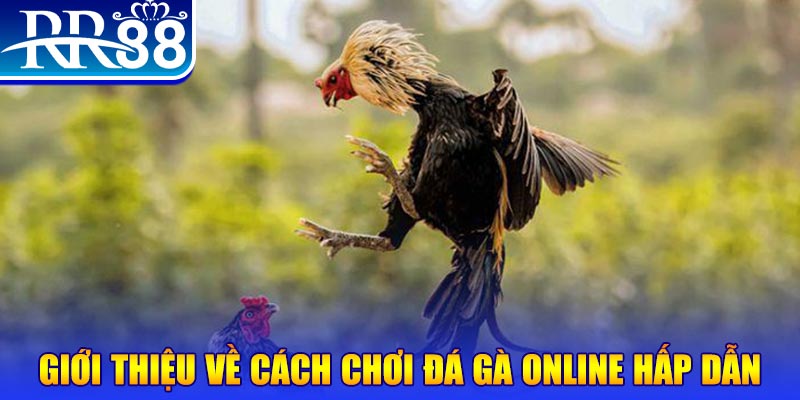 vtv1 game nổ hũ rút tiền mặt là gì