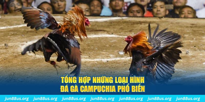 vtv1 đăng nhập nổ hũ 2024