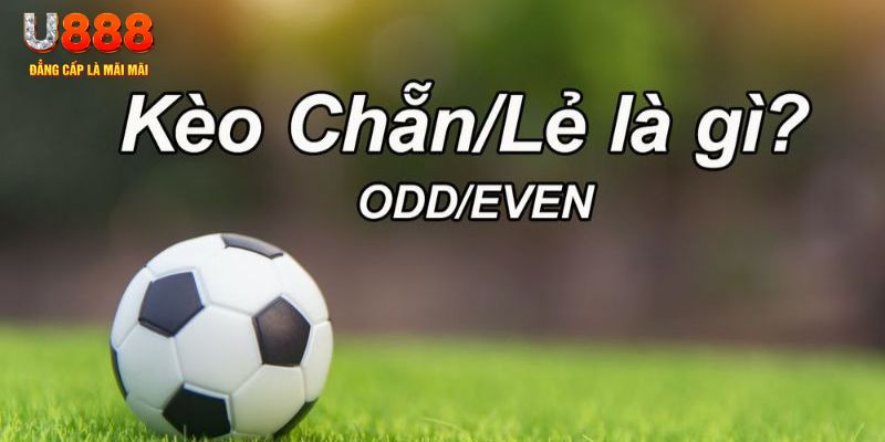 vtv1 đăng nhập poker hôm nay