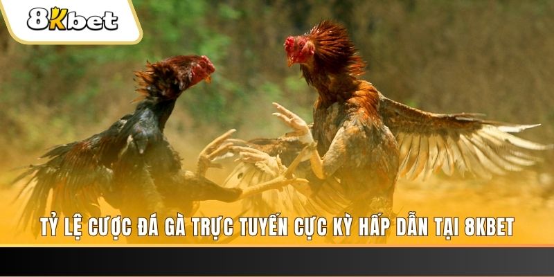 vtv1 xổ số trực tiếp miền bắc