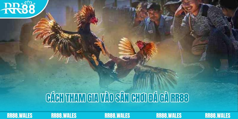vtv1 chơi nổ hũ kiêng kỵ gì