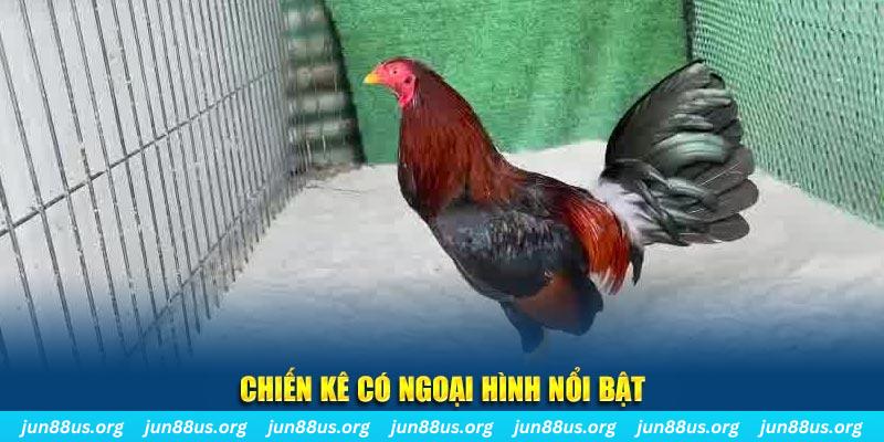 vtv1 chạy quảng cáo cho game bài bị phạt như thế nào