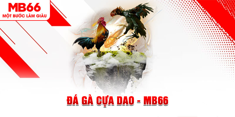 vtv1 đá gà sv388 gold
